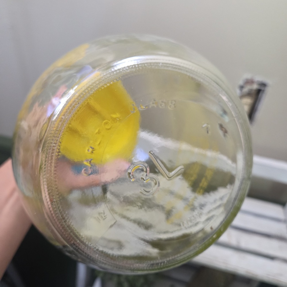 Sun Tea Ice Tea Recipe Vintage Carlton 3 Liter Glass Jar Yellow Clear - Picture 8 of 14